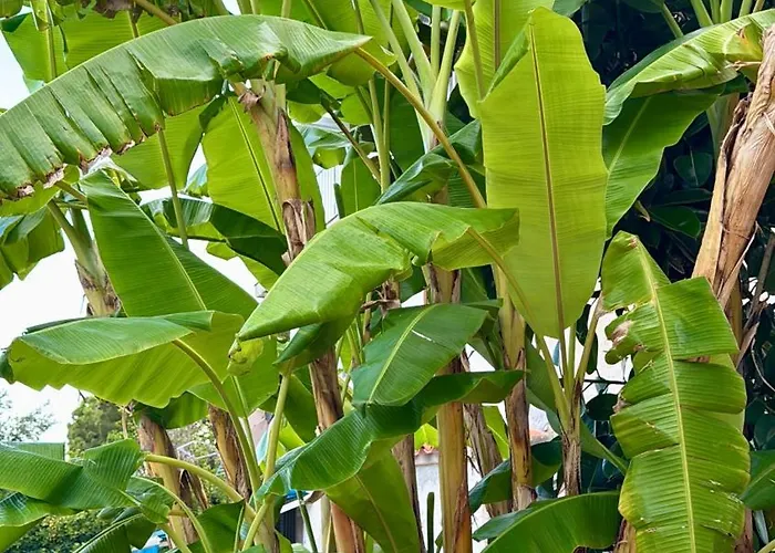 Casa Con Vistas Al Mar Y Piscina Privada Dom wakacyjny Lloret de Mar