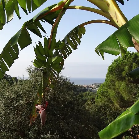 Casa Con Vistas Al Mar Y Piscina Privada * Lloret de Mar