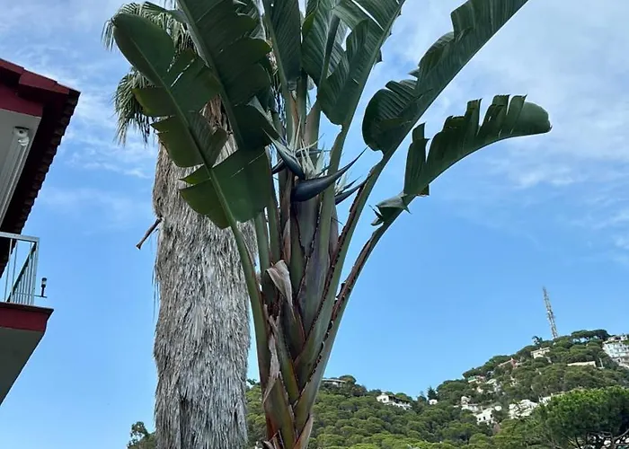 Prázdninový dům Casa Con Vistas Al Mar Y Piscina Privada Lloret de Mar