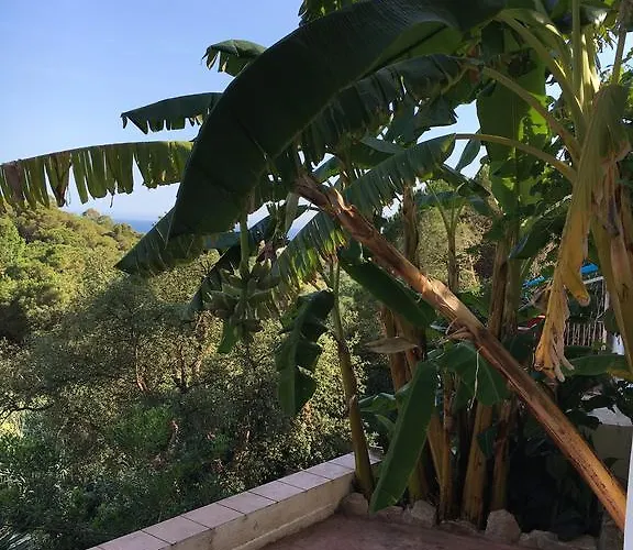 Casa Con Vistas Al Mar Y Piscina Privada Prázdninový dům Lloret de Mar