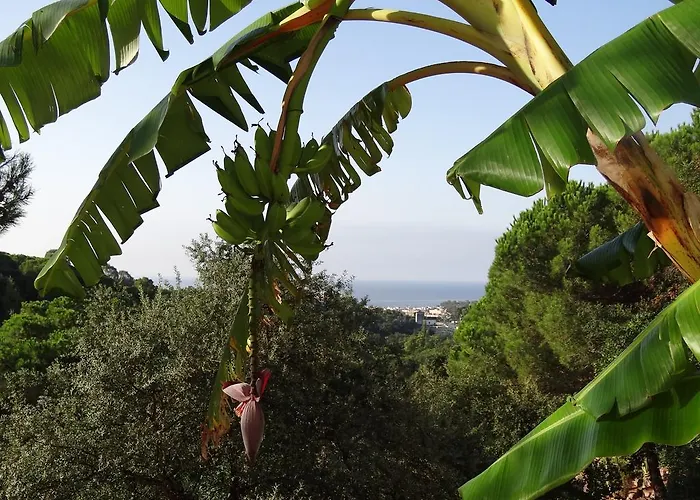 Casa Con Vistas Al Mar Y Piscina Privada * Lloret de Mar