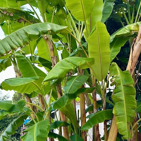 Casa Con Vistas Al Mar Y Piscina Privada Будинок відпочинку Льорет-де-Мар